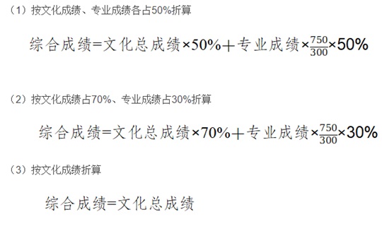 云南省2025年普通高校艺术类专业考试招生工作通知