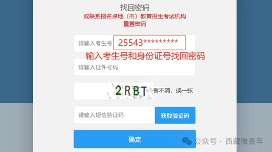 2025年西藏班高考志愿填报流程