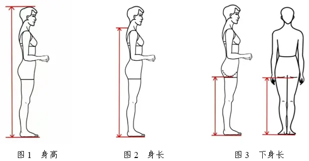 2026年浙江省普通高校招生表(导)演类服装表演方向专业统一考试报考简章
