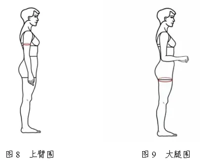 2026年浙江省普通高校招生表(导)演类服装表演方向专业统一考试报考简章