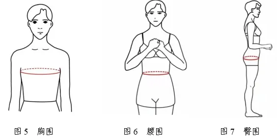 2026年浙江省普通高校招生表(导)演类服装表演方向专业统一考试报考简章