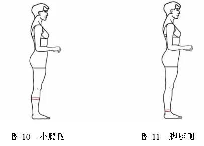2026年浙江省普通高校招生表(导)演类服装表演方向专业统一考试报考简章