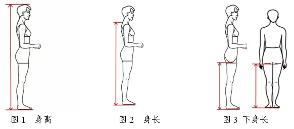 2026年青海省普通高校招生表（导）演类专业省级统考考试要求