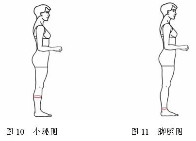 2026年青海省普通高校招生表（导）演类专业省级统考考试要求