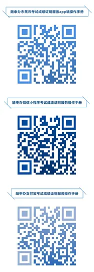 3月31日10:00起，沪2026年高招体育类专业统考成绩可查！